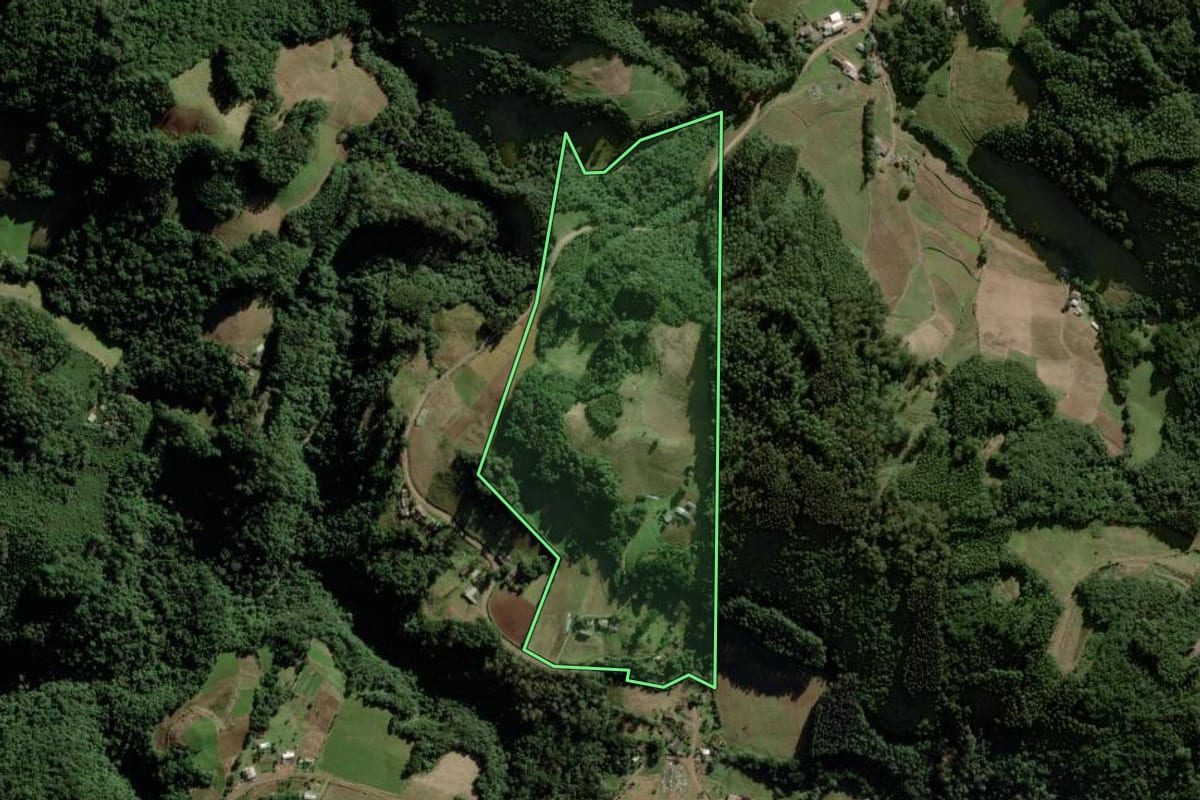 Imagem de satélite do imóvel rural em Vale do Sol (RS), com o contorno declarado no CAR desenhado por cima.