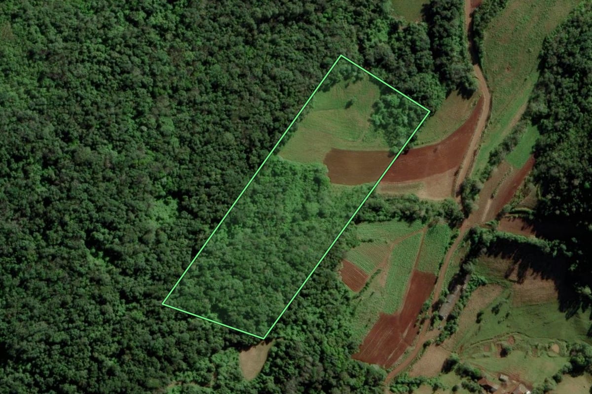 Imagem de satélite do imóvel rural em Vale do Sol (RS), com o contorno declarado no CAR desenhado por cima.