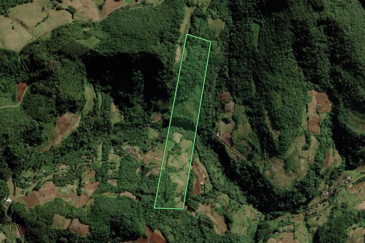 Imagem de satélite do imóvel rural em Vale do Sol (RS), com o contorno declarado no CAR desenhado por cima.