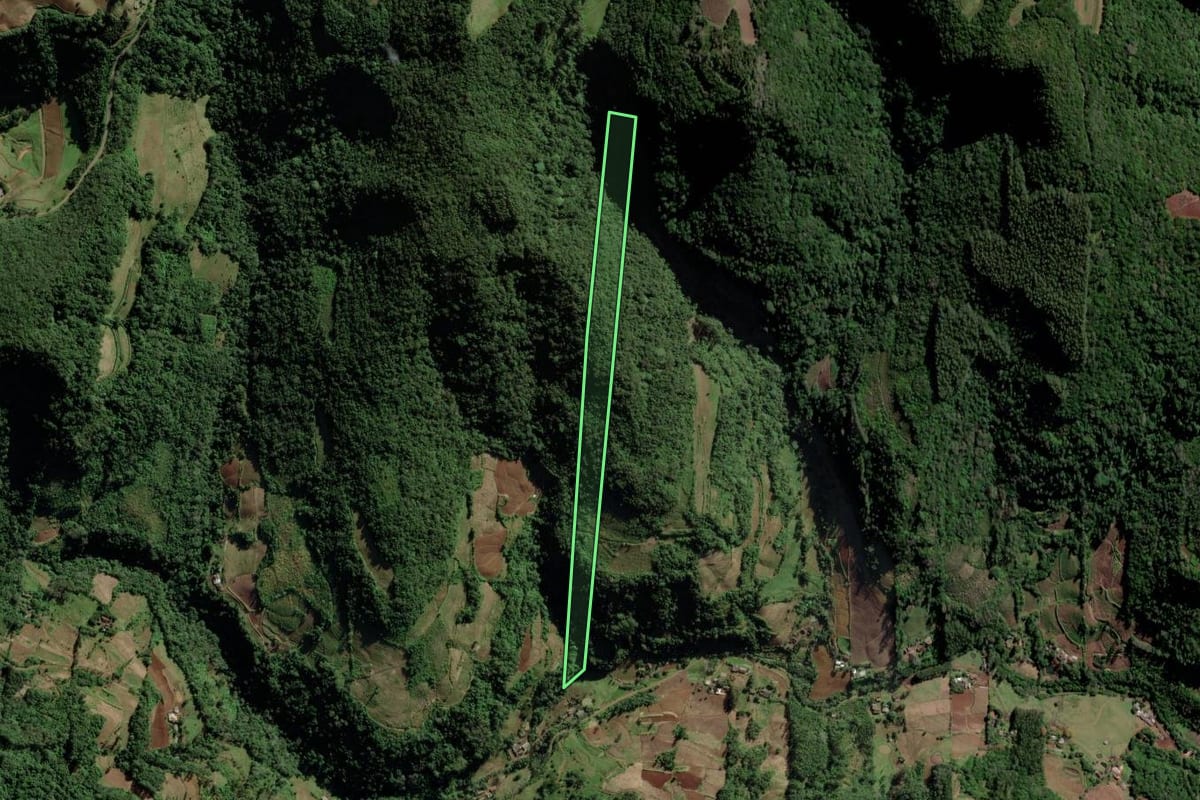 Imagem de satélite do imóvel rural em Vale do Sol (RS), com o contorno declarado no CAR desenhado por cima.