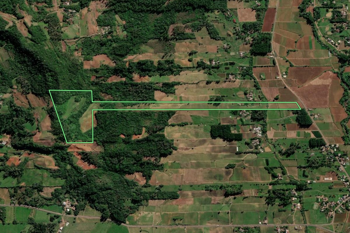 Imagem de satélite do imóvel rural em Vale do Sol (RS), com o contorno declarado no CAR desenhado por cima.