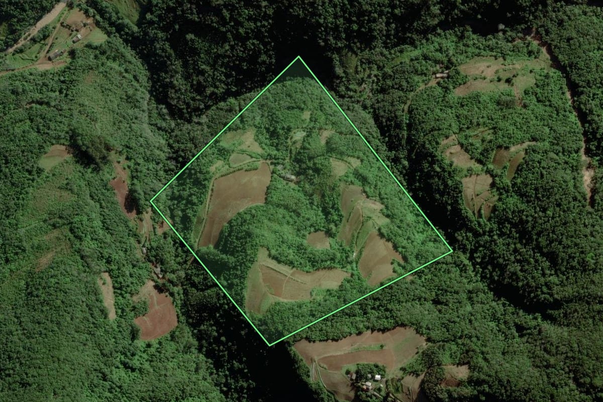 Imagem de satélite do imóvel rural em Vale do Sol (RS), com o contorno declarado no CAR desenhado por cima.
