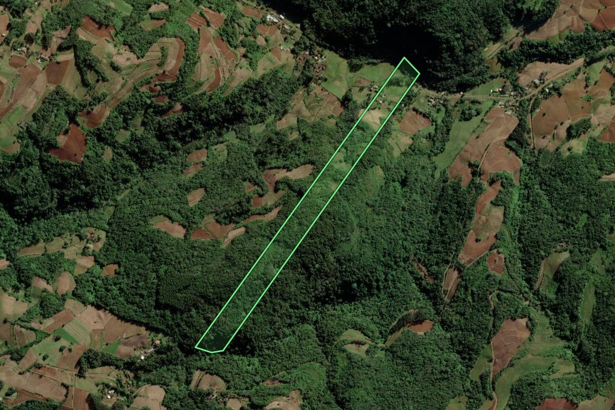 Imagem de satélite do imóvel rural em Vale do Sol (RS), com o contorno declarado no CAR desenhado por cima.