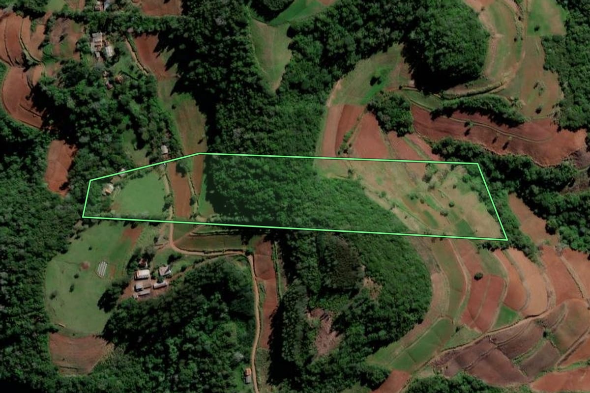 Imagem de satélite do imóvel rural em Vale do Sol (RS), com o contorno declarado no CAR desenhado por cima.