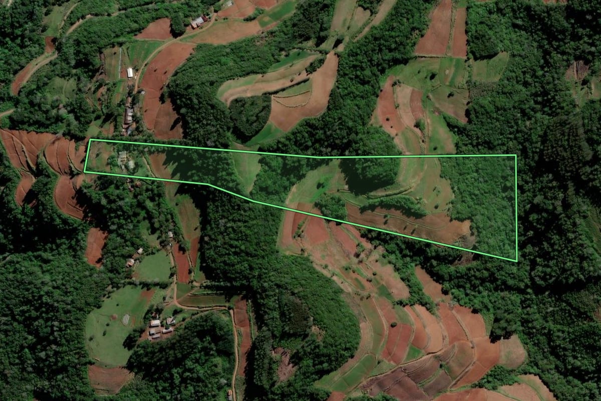 Imagem de satélite do imóvel rural em Vale do Sol (RS), com o contorno declarado no CAR desenhado por cima.