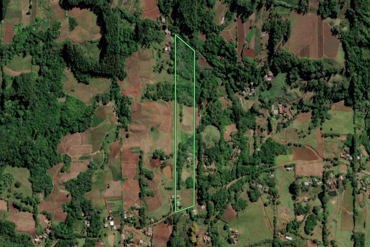 Imagem de satélite do imóvel rural em Vale do Sol (RS), com o contorno declarado no CAR desenhado por cima.