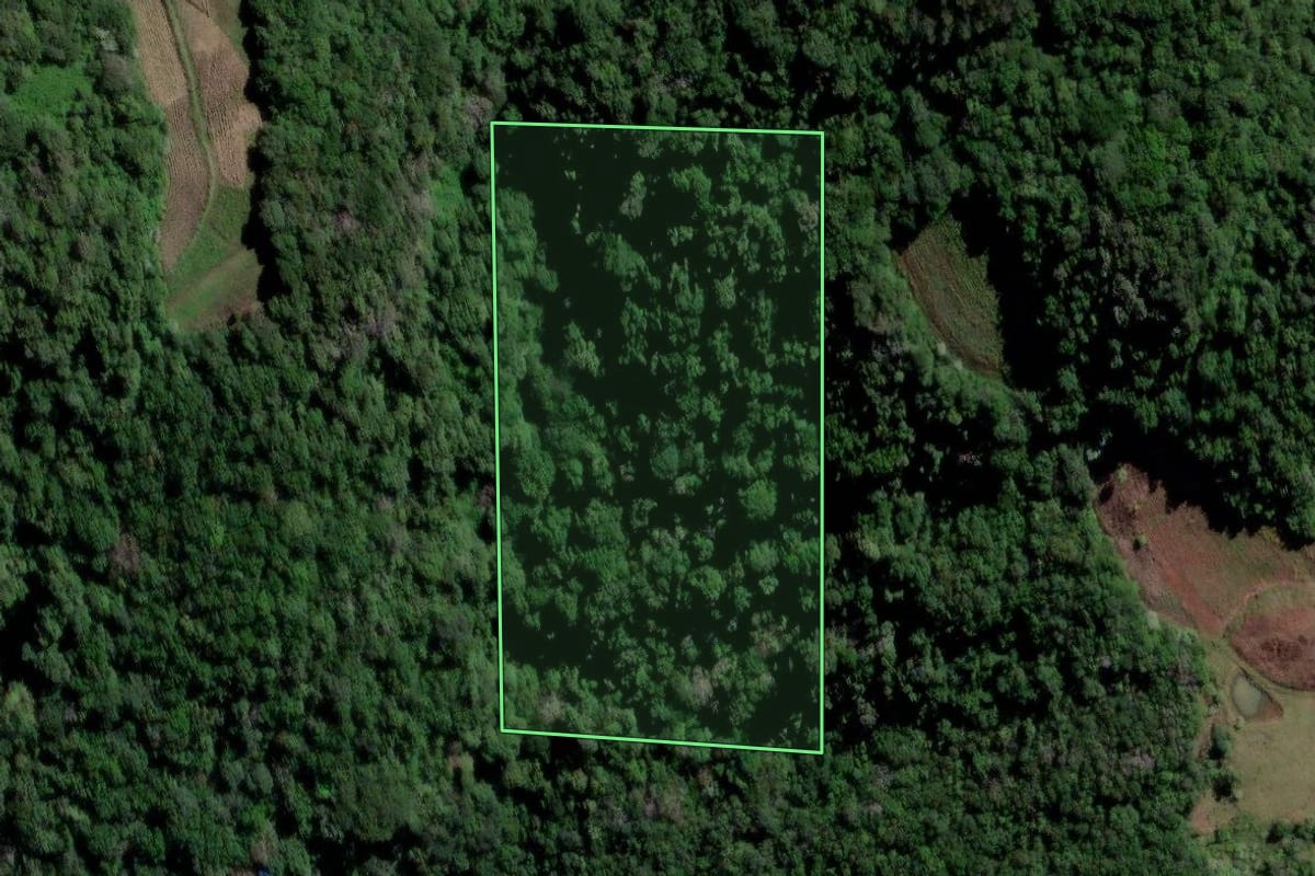 Imagem de satélite do imóvel rural em Vale do Sol (RS), com o contorno declarado no CAR desenhado por cima.