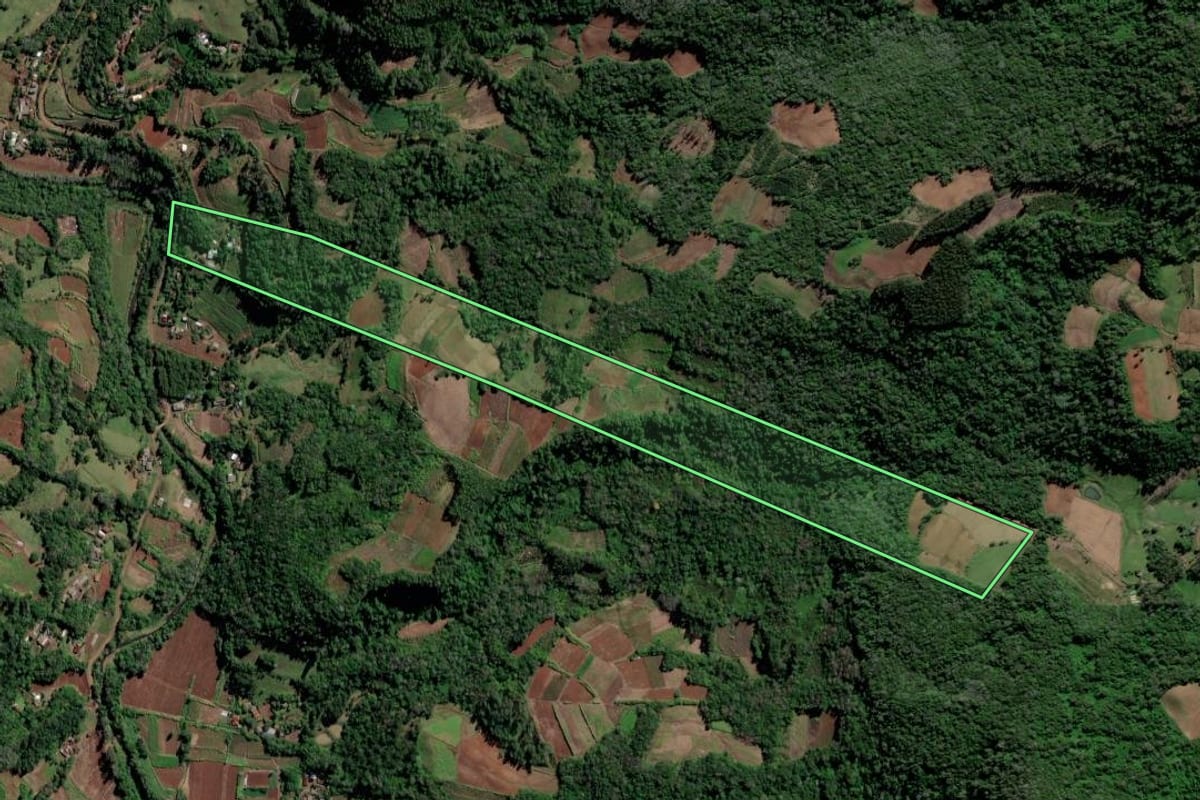 Imagem de satélite do imóvel rural em Vale do Sol (RS), com o contorno declarado no CAR desenhado por cima.