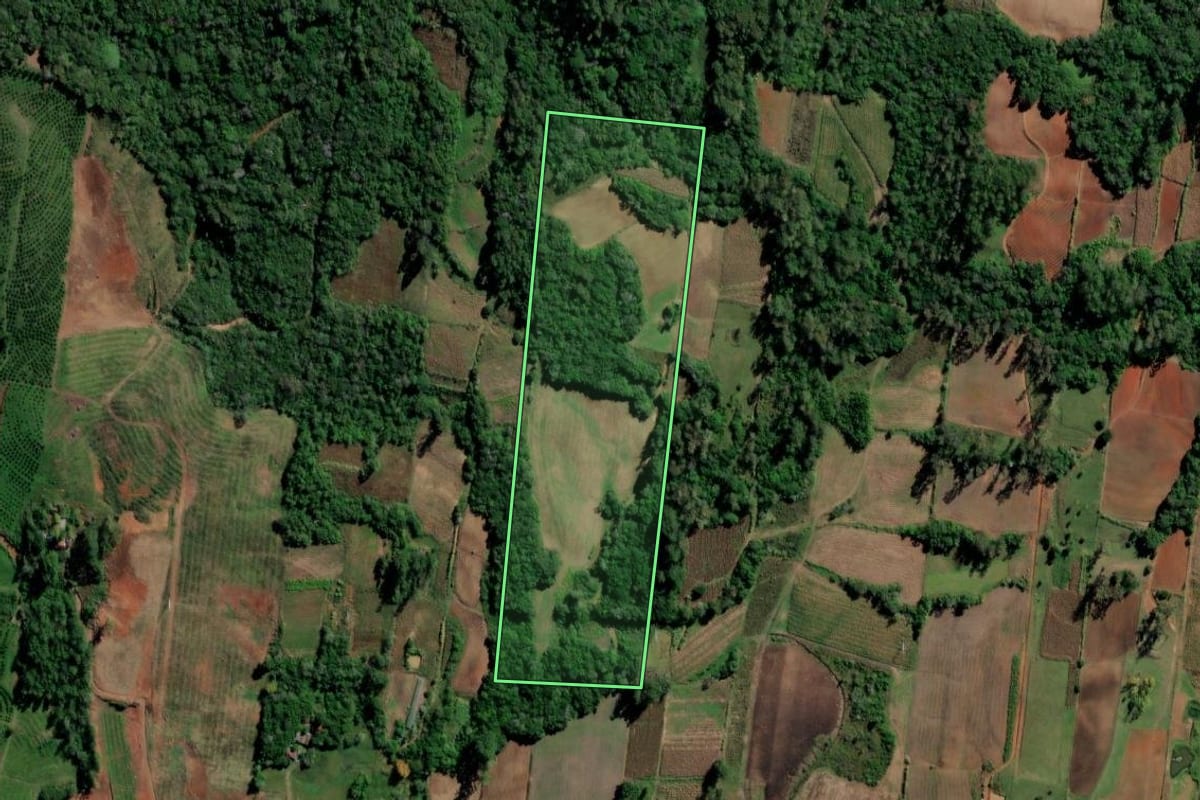 Imagem de satélite do imóvel rural em Vale do Sol (RS), com o contorno declarado no CAR desenhado por cima.
