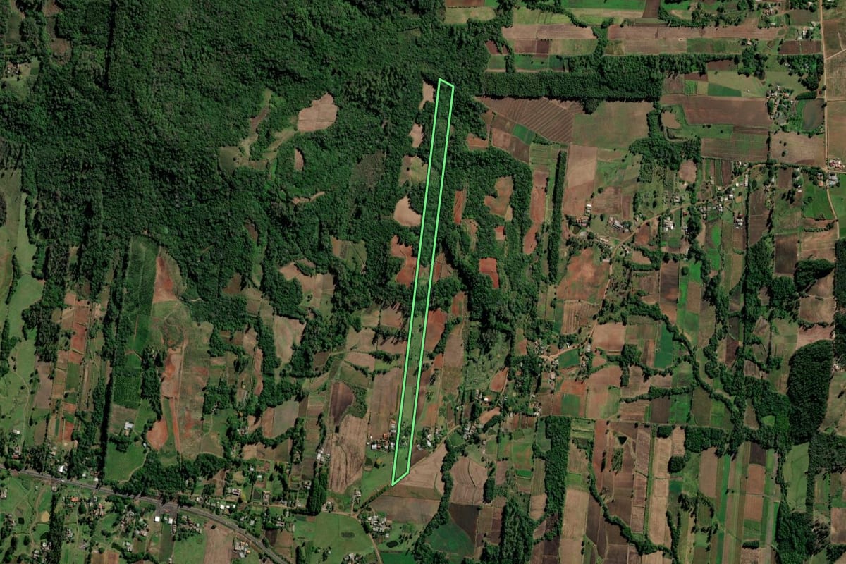Imagem de satélite do imóvel rural em Vale do Sol (RS), com o contorno declarado no CAR desenhado por cima.