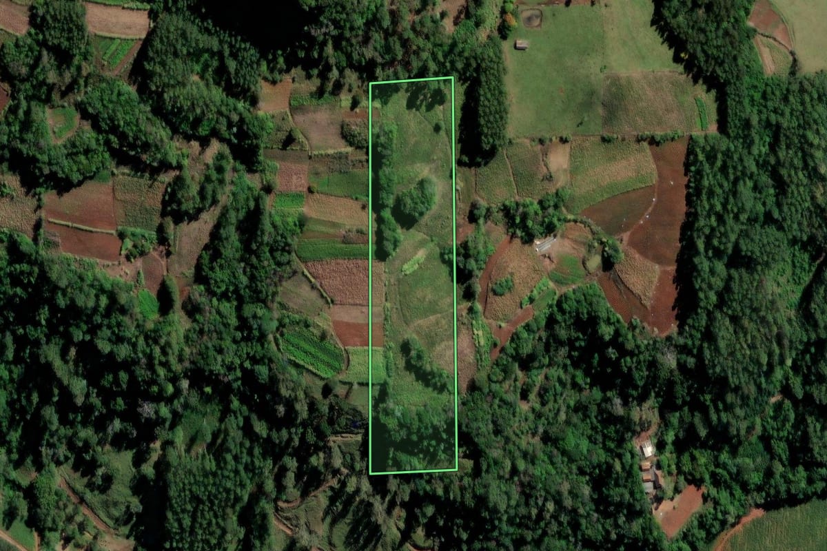 Imagem de satélite do imóvel rural em Vale do Sol (RS), com o contorno declarado no CAR desenhado por cima.