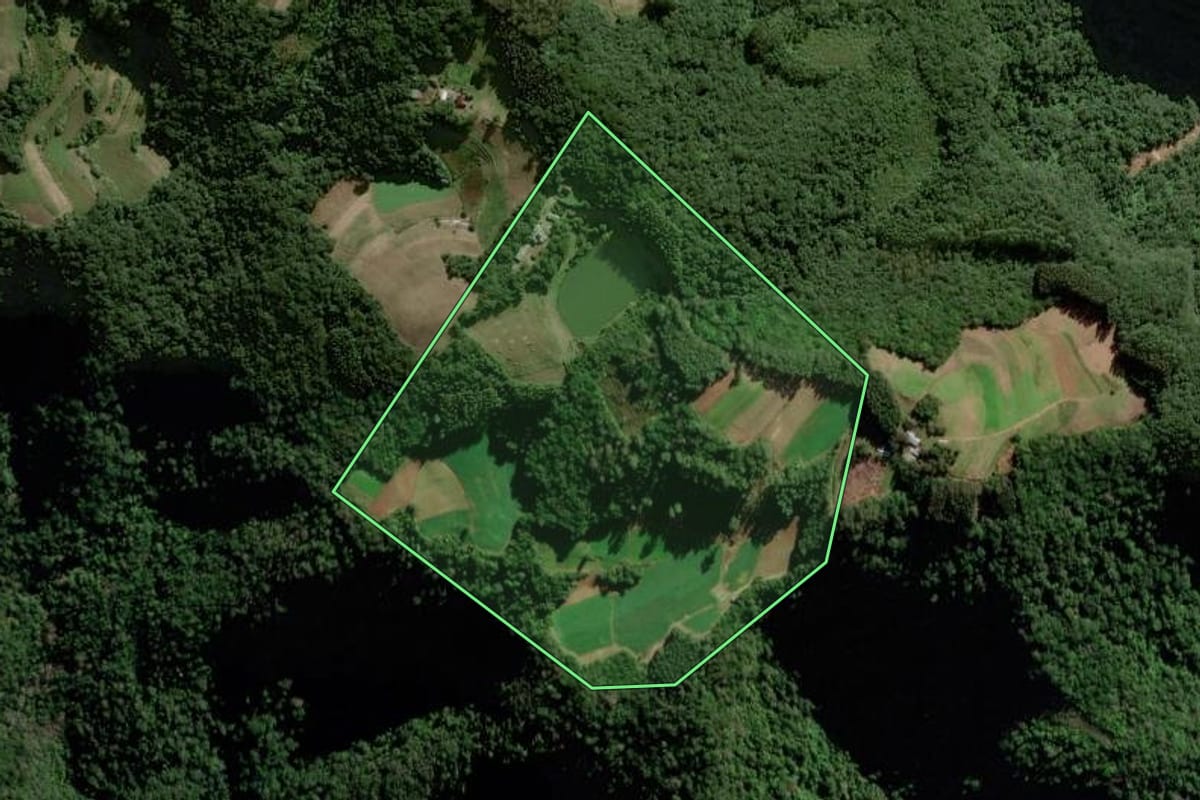 Imagem de satélite do imóvel rural em Vale do Sol (RS), com o contorno declarado no CAR desenhado por cima.