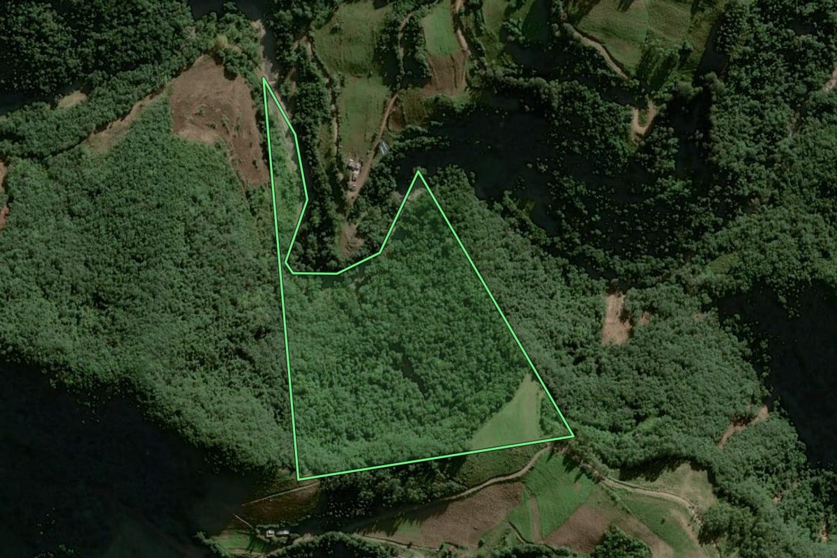 Imagem de satélite do imóvel rural em Vale do Sol (RS), com o contorno declarado no CAR desenhado por cima.