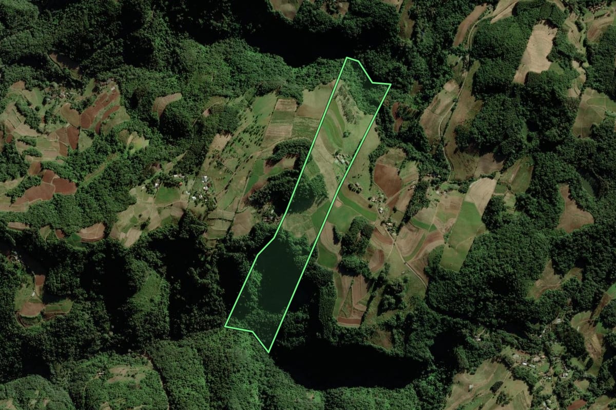 Imagem de satélite do imóvel rural em Vale do Sol (RS), com o contorno declarado no CAR desenhado por cima.