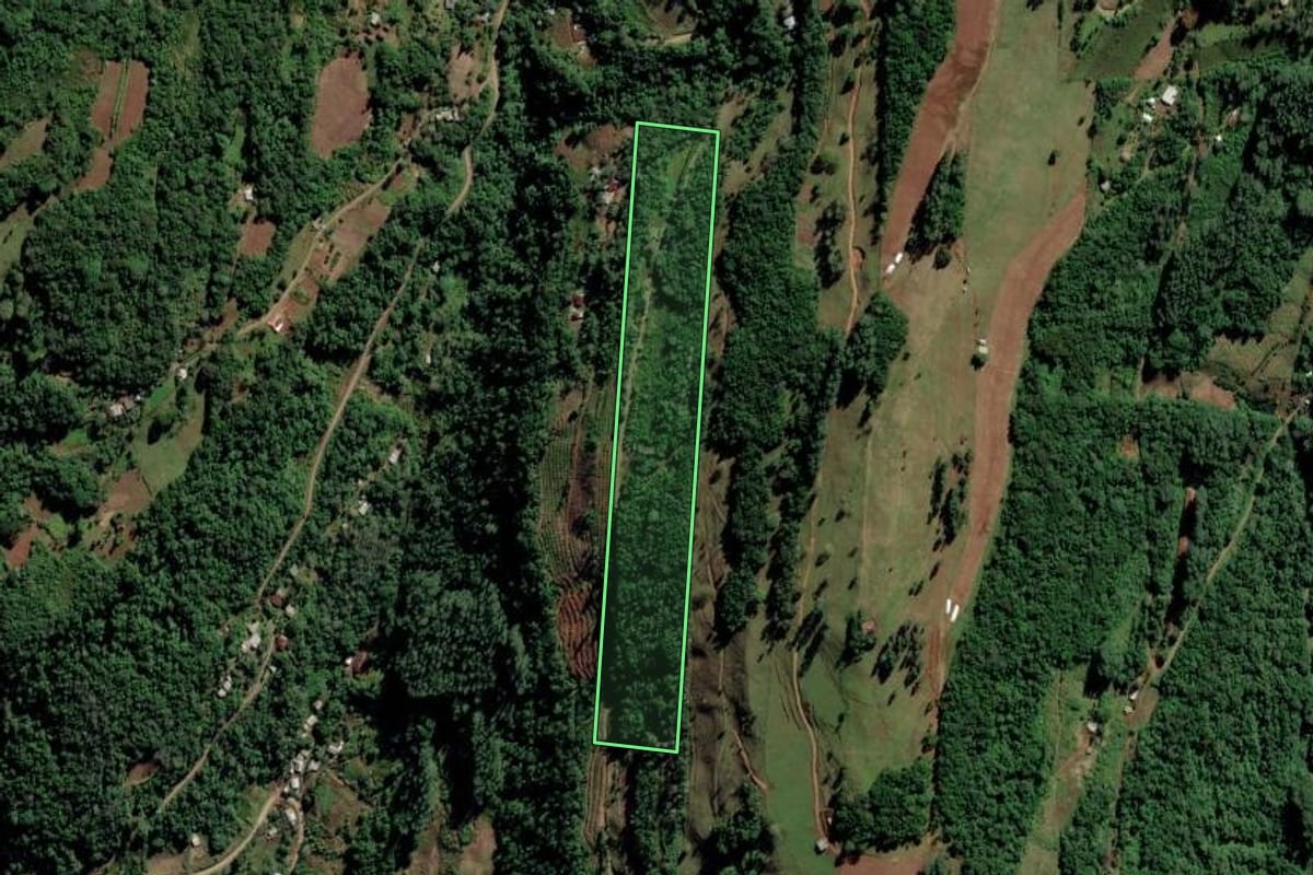 Imagem de satélite do imóvel rural em Vale Real (RS), com o contorno declarado no CAR desenhado por cima.
