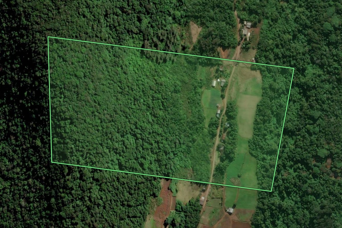 Imagem de satélite do imóvel rural em Vale Real (RS), com o contorno declarado no CAR desenhado por cima.