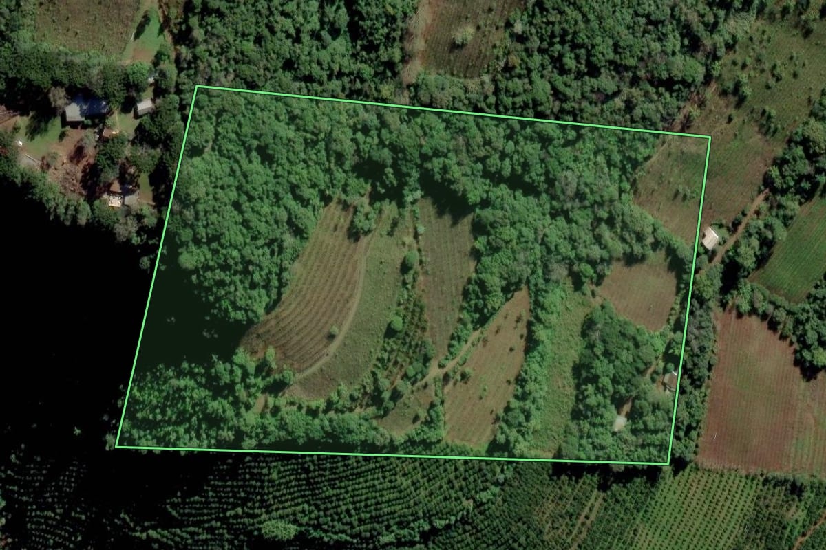 Imagem de satélite do imóvel rural em Vale Real (RS), com o contorno declarado no CAR desenhado por cima.