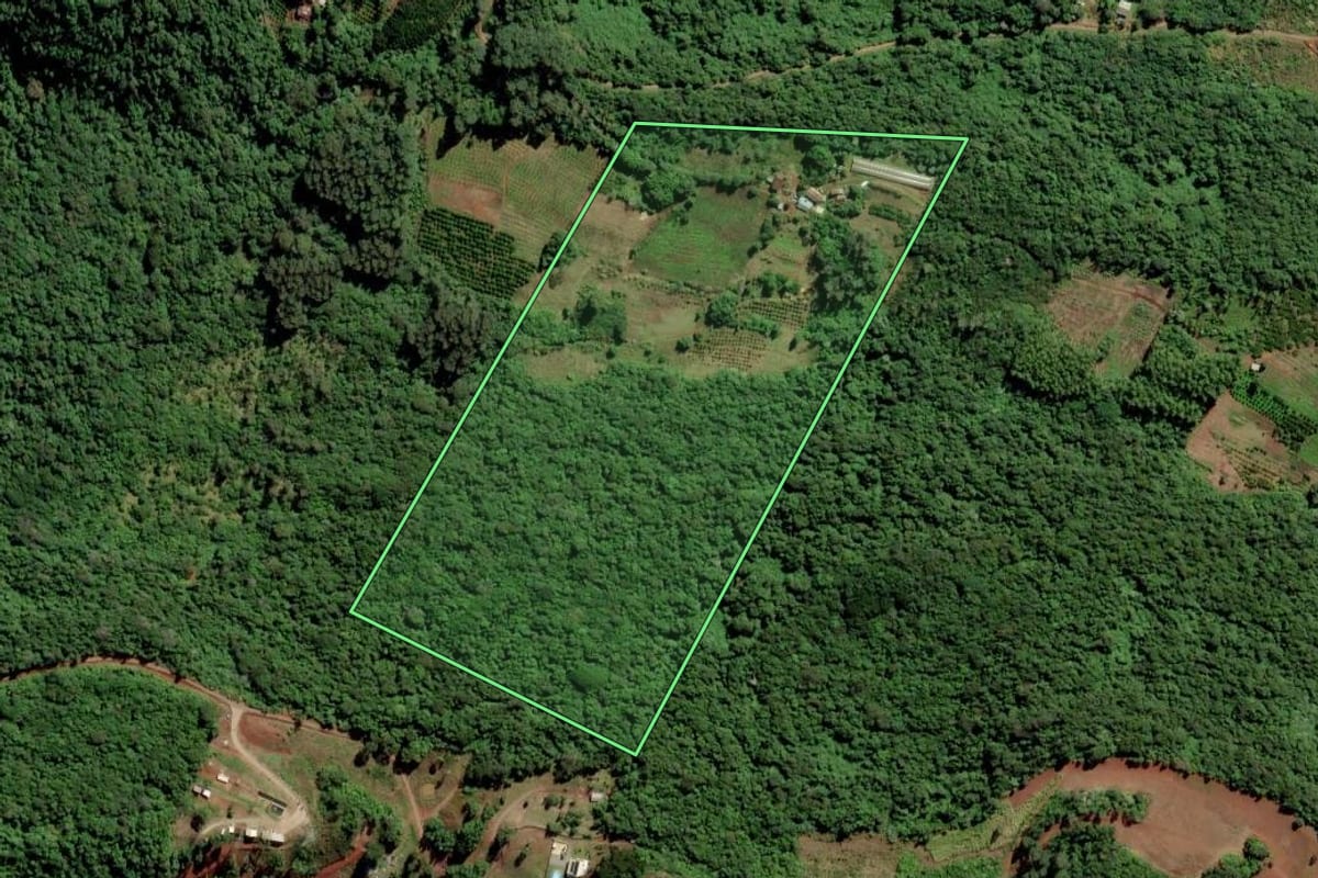 Imagem de satélite do imóvel rural em Vale Real (RS), com o contorno declarado no CAR desenhado por cima.
