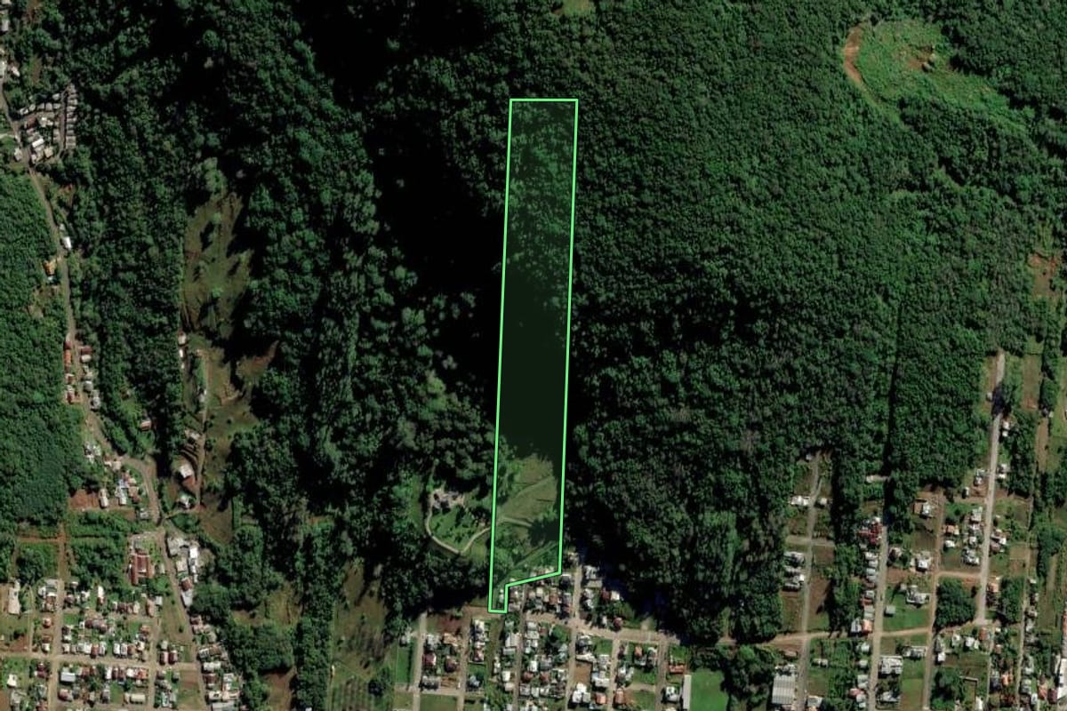 Imagem de satélite do imóvel rural em Vale Real (RS), com o contorno declarado no CAR desenhado por cima.