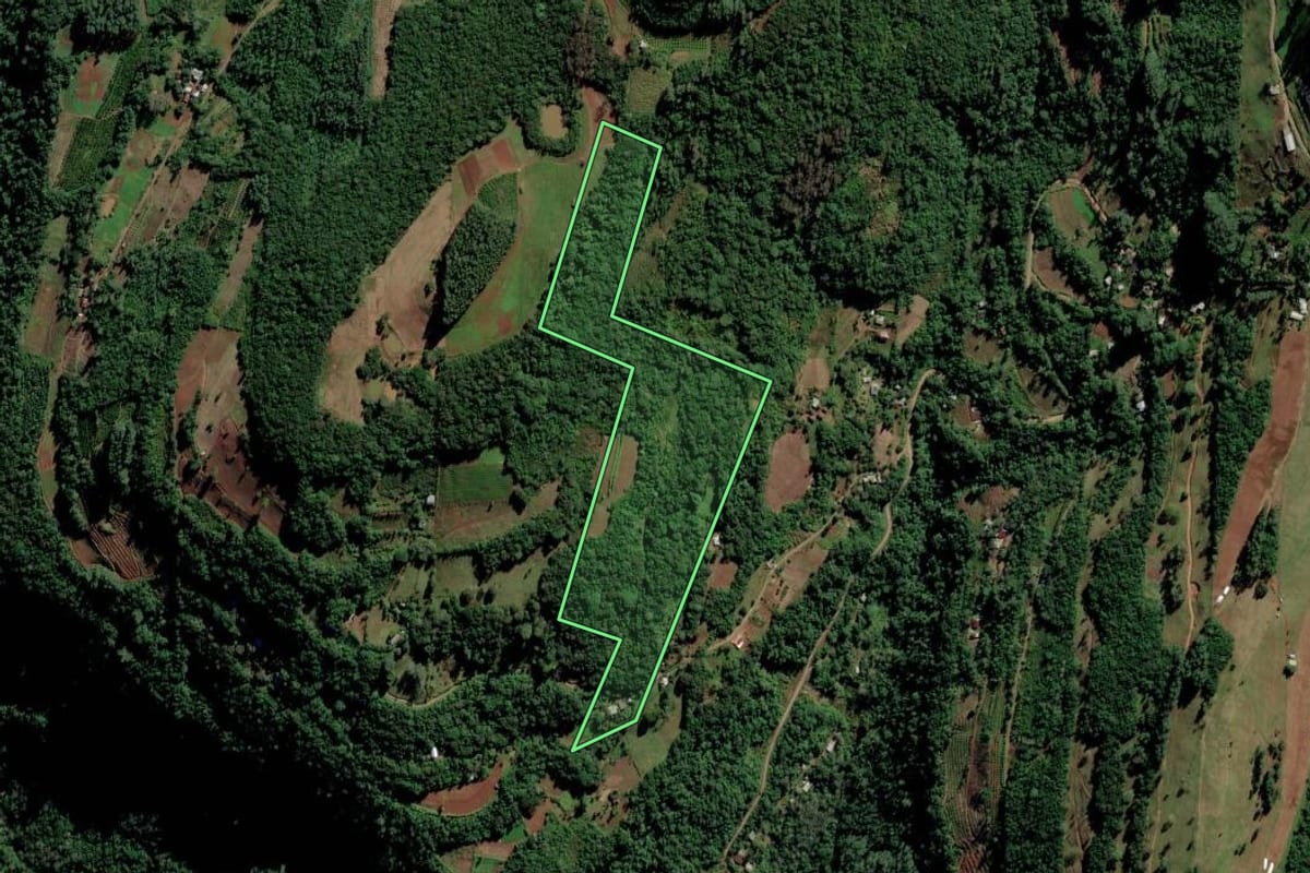 Imagem de satélite do imóvel rural em Vale Real (RS), com o contorno declarado no CAR desenhado por cima.