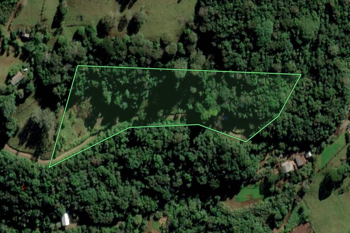 Imagem de satélite do imóvel rural em Vale Real (RS), com o contorno declarado no CAR desenhado por cima.