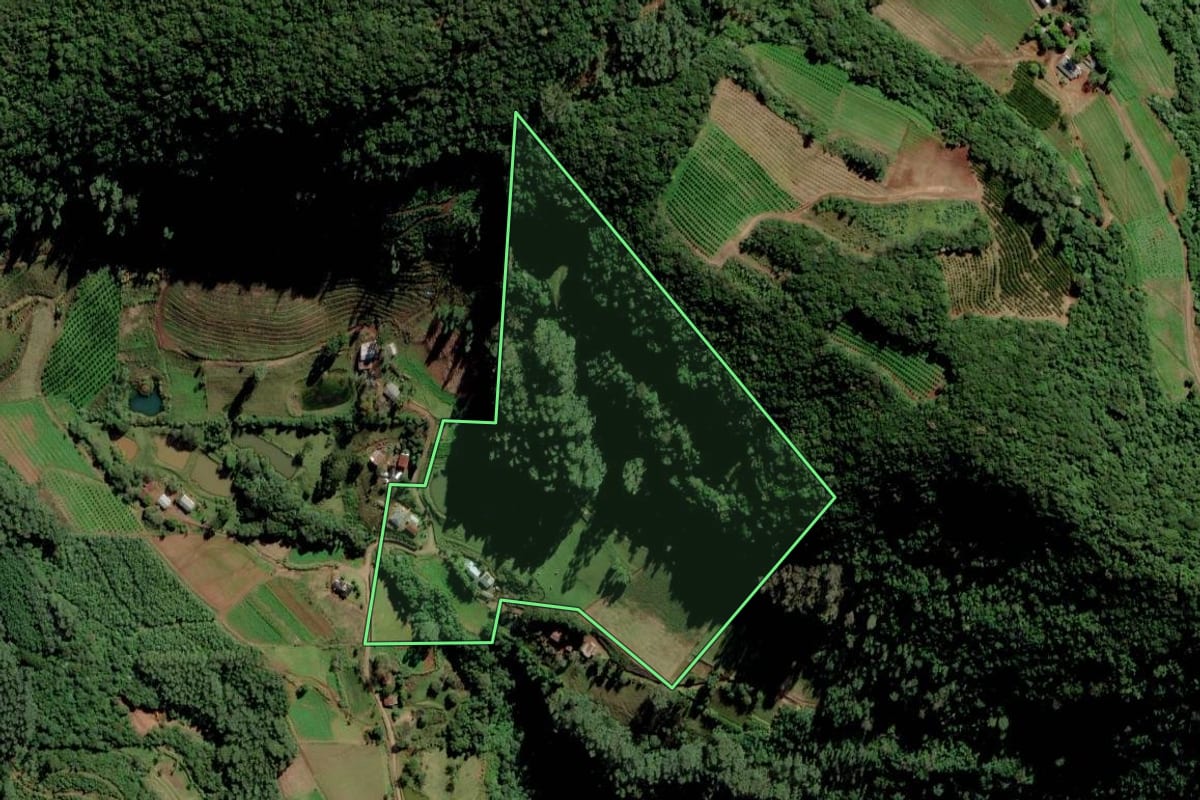 Imagem de satélite do imóvel rural em Vale Real (RS), com o contorno declarado no CAR desenhado por cima.