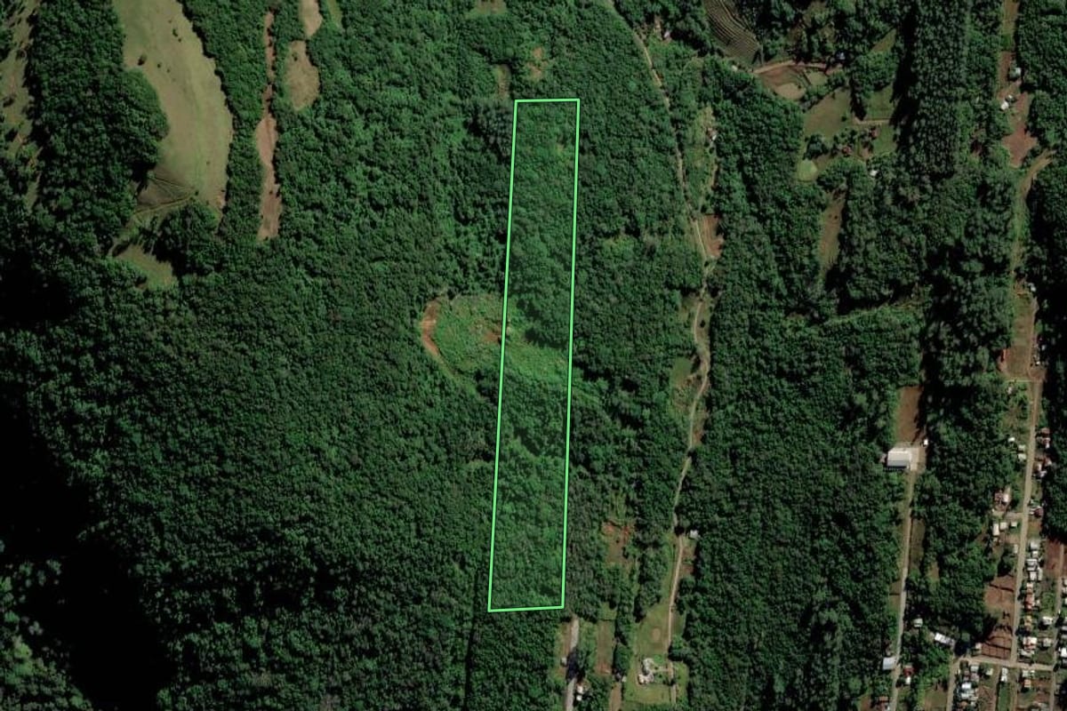 Imagem de satélite do imóvel rural em Vale Real (RS), com o contorno declarado no CAR desenhado por cima.
