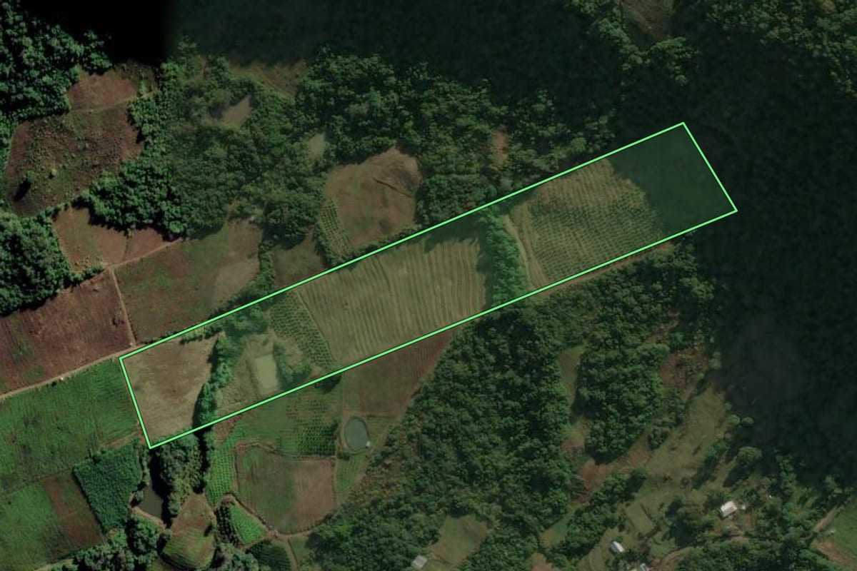 Imagem de satélite do imóvel rural em Vale Real (RS), com o contorno declarado no CAR desenhado por cima.
