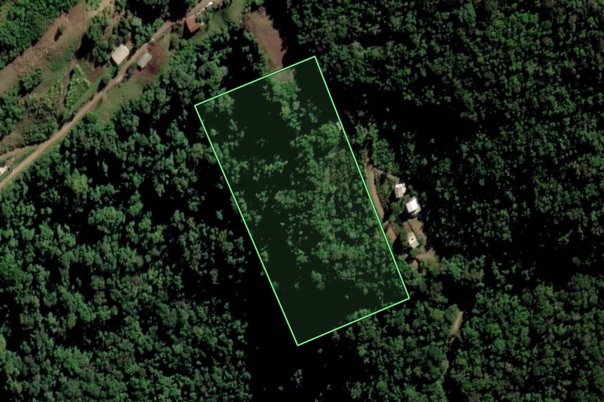 Imagem de satélite do imóvel rural em Vale Real (RS), com o contorno declarado no CAR desenhado por cima.