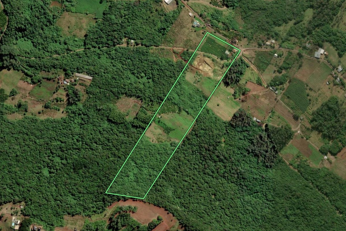 Imagem de satélite do imóvel rural em Vale Real (RS), com o contorno declarado no CAR desenhado por cima.