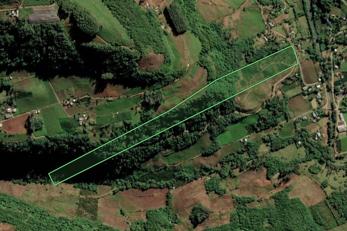 Imagem de satélite do imóvel rural em Vale Real (RS), com o contorno declarado no CAR desenhado por cima.