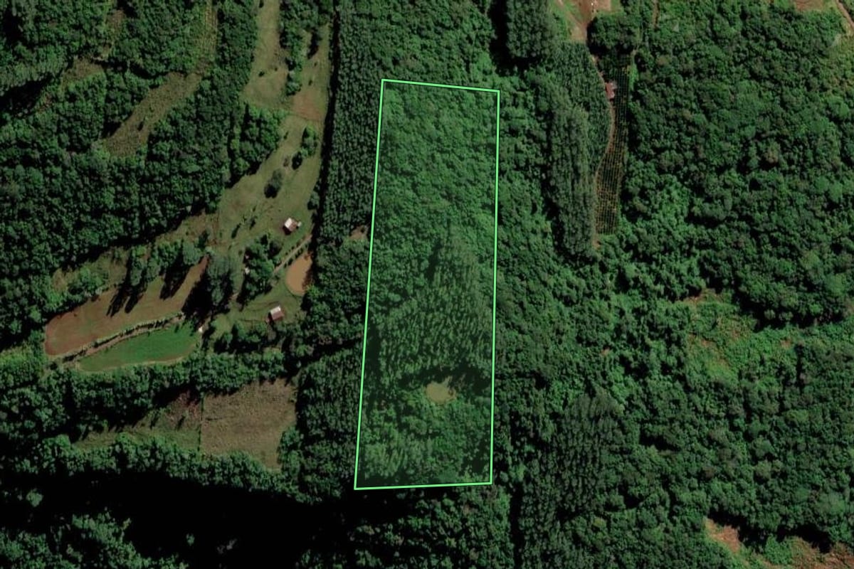 Imagem de satélite do imóvel rural em Vale Real (RS), com o contorno declarado no CAR desenhado por cima.