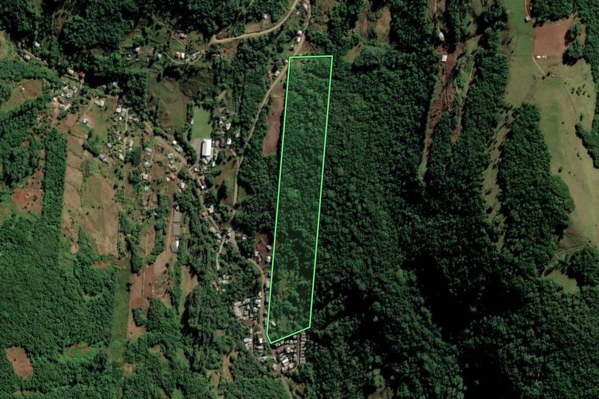 Imagem de satélite do imóvel rural em Vale Real (RS), com o contorno declarado no CAR desenhado por cima.
