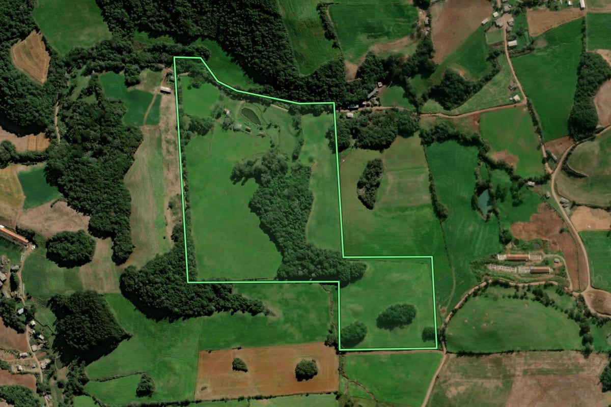 Imagem de satélite do imóvel rural em Vanini (RS), com o contorno declarado no CAR desenhado por cima.