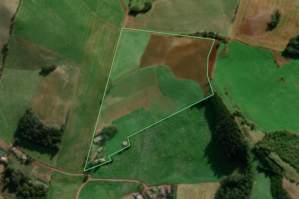 Imagem de satélite do imóvel rural em Vanini (RS), com o contorno declarado no CAR desenhado por cima.