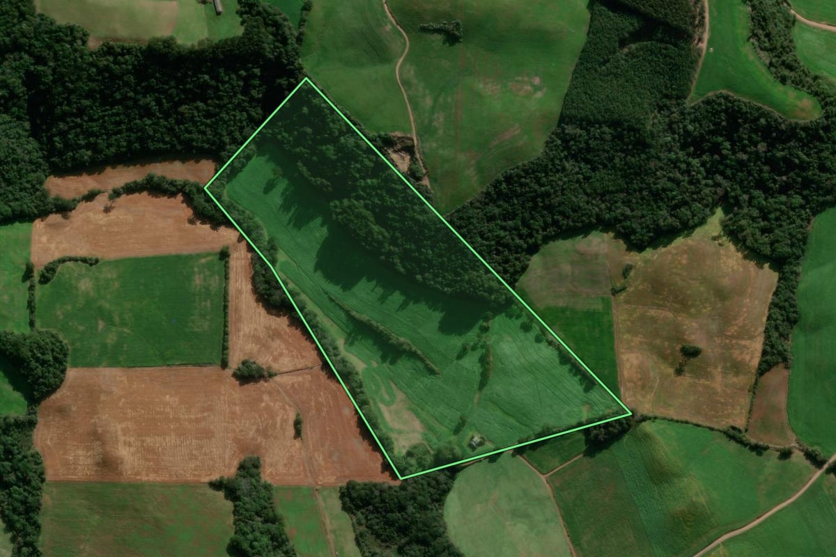 Imagem de satélite do imóvel rural em Vanini (RS), com o contorno declarado no CAR desenhado por cima.