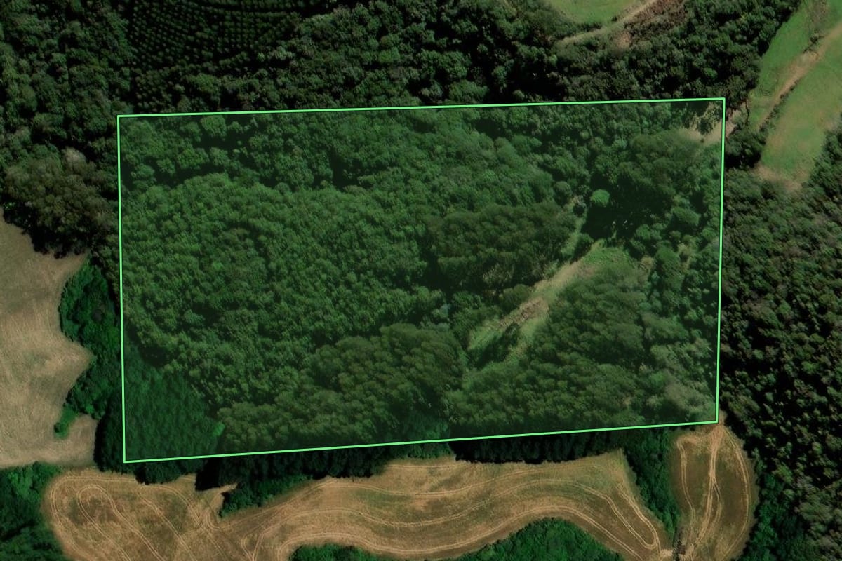 Imagem de satélite do imóvel rural em Vanini (RS), com o contorno declarado no CAR desenhado por cima.