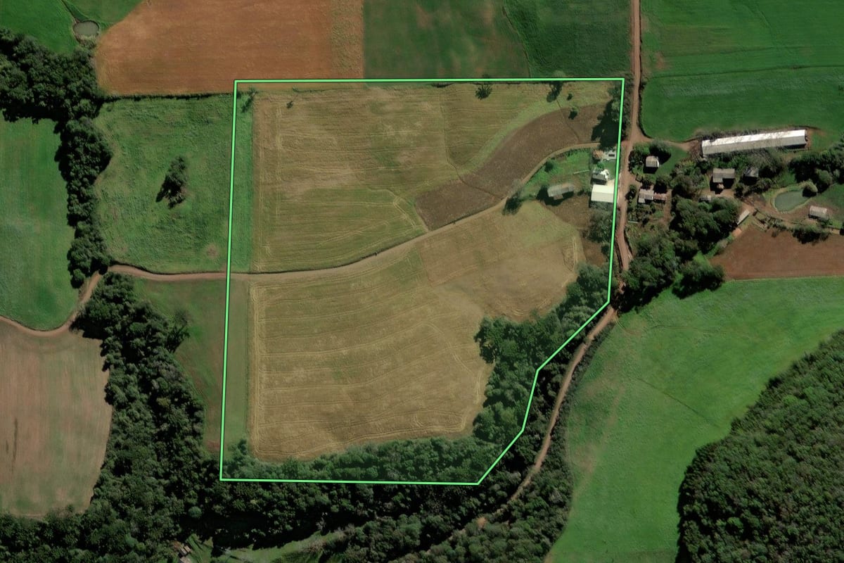 Imagem de satélite do imóvel rural em Vanini (RS), com o contorno declarado no CAR desenhado por cima.