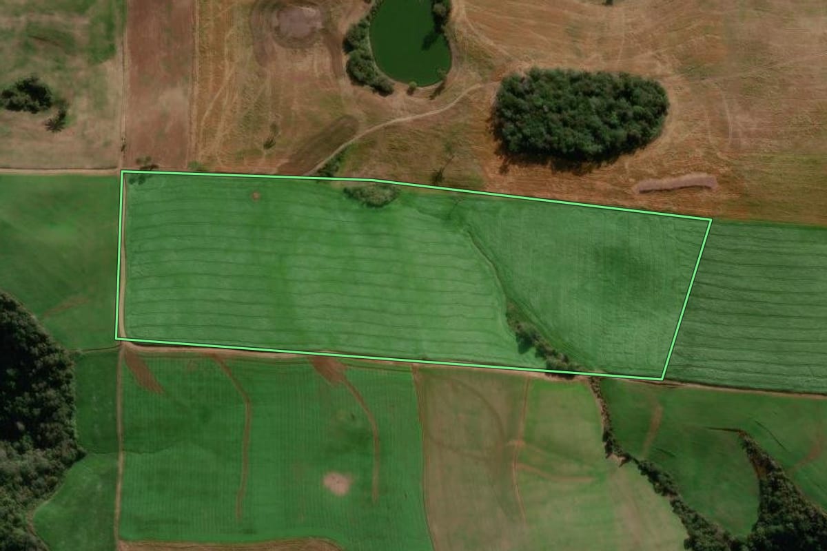 Imagem de satélite do imóvel rural em Vanini (RS), com o contorno declarado no CAR desenhado por cima.