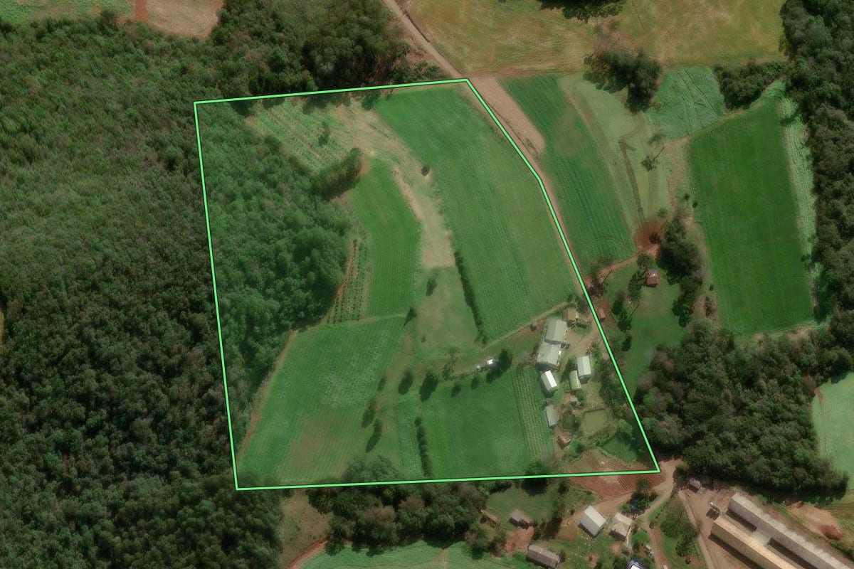 Imagem de satélite do imóvel rural em Vanini (RS), com o contorno declarado no CAR desenhado por cima.