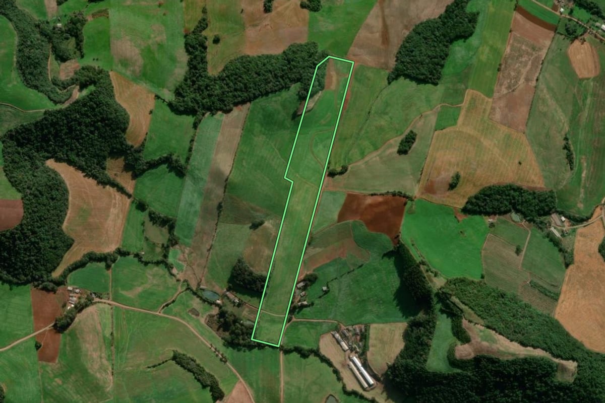 Imagem de satélite do imóvel rural em Vanini (RS), com o contorno declarado no CAR desenhado por cima.