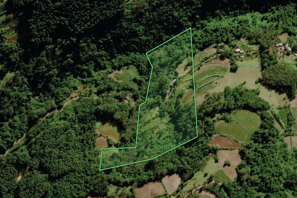 Imagem de satélite do imóvel rural em Venâncio Aires (RS), com o contorno declarado no CAR desenhado por cima.