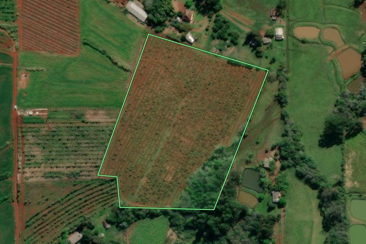 Imagem de satélite do imóvel rural em Venâncio Aires (RS), com o contorno declarado no CAR desenhado por cima.