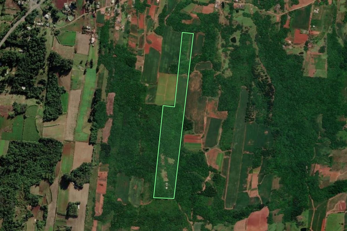 Imagem de satélite do imóvel rural em Venâncio Aires (RS), com o contorno declarado no CAR desenhado por cima.