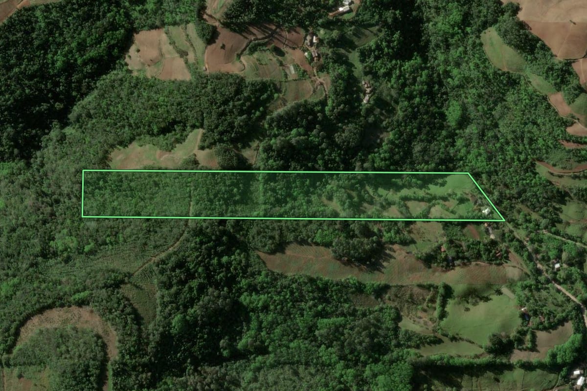 Imagem de satélite do imóvel rural em Venâncio Aires (RS), com o contorno declarado no CAR desenhado por cima.