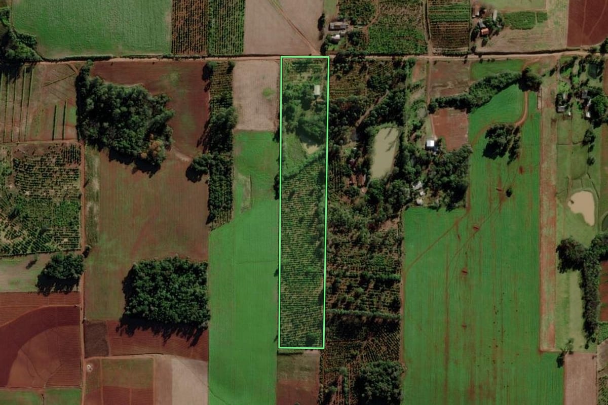 Imagem de satélite do imóvel rural em Venâncio Aires (RS), com o contorno declarado no CAR desenhado por cima.