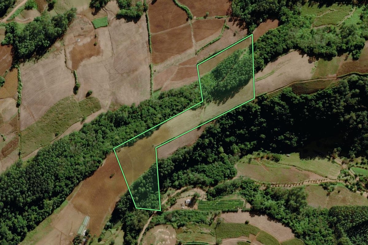 Imagem de satélite do imóvel rural em Venâncio Aires (RS), com o contorno declarado no CAR desenhado por cima.