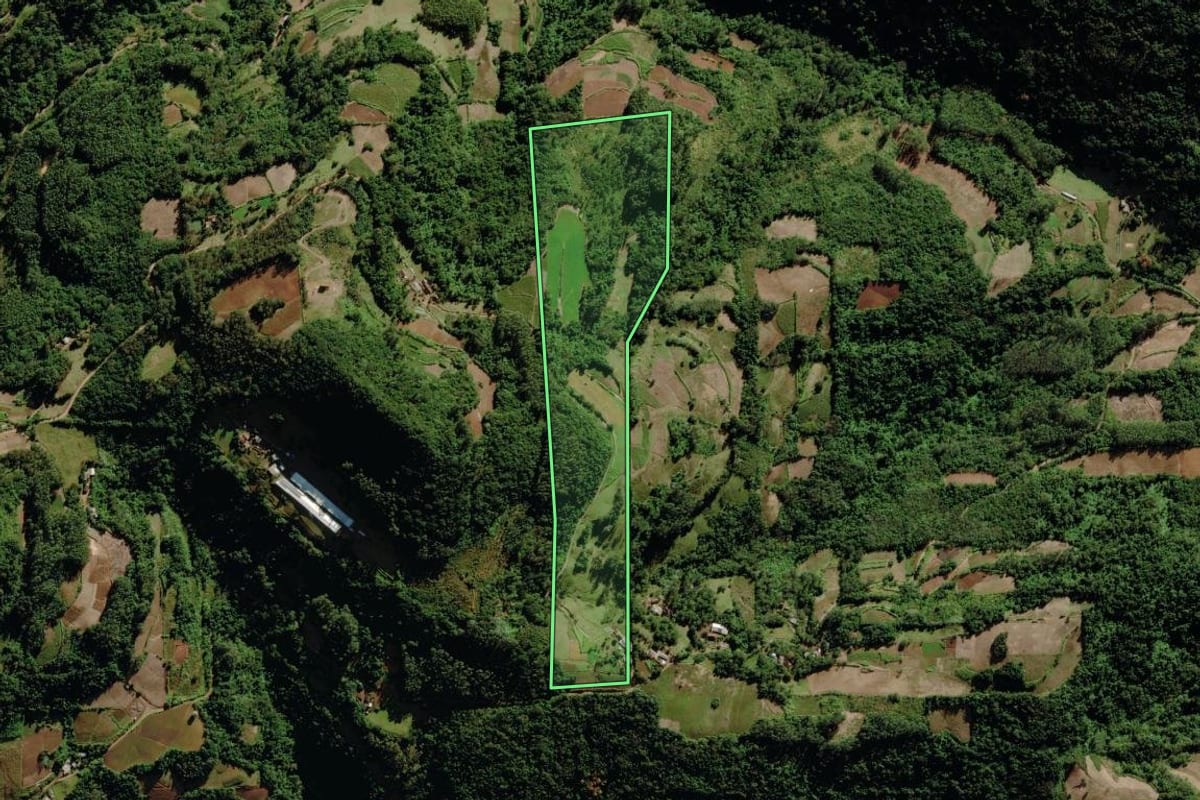 Imagem de satélite do imóvel rural em Venâncio Aires (RS), com o contorno declarado no CAR desenhado por cima.