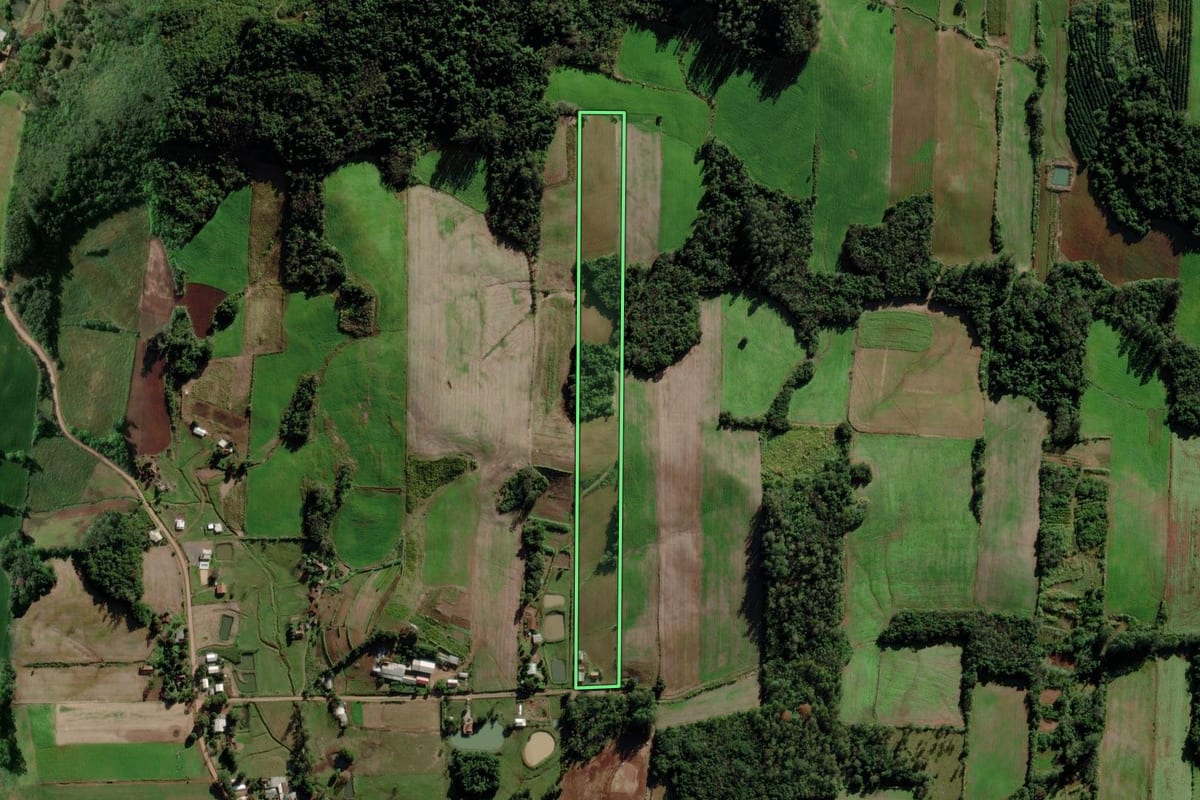 Imagem de satélite do imóvel rural em Venâncio Aires (RS), com o contorno declarado no CAR desenhado por cima.