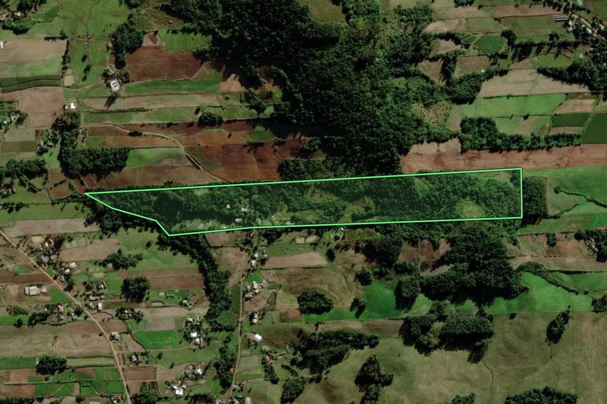 Imagem de satélite do imóvel rural em Venâncio Aires (RS), com o contorno declarado no CAR desenhado por cima.